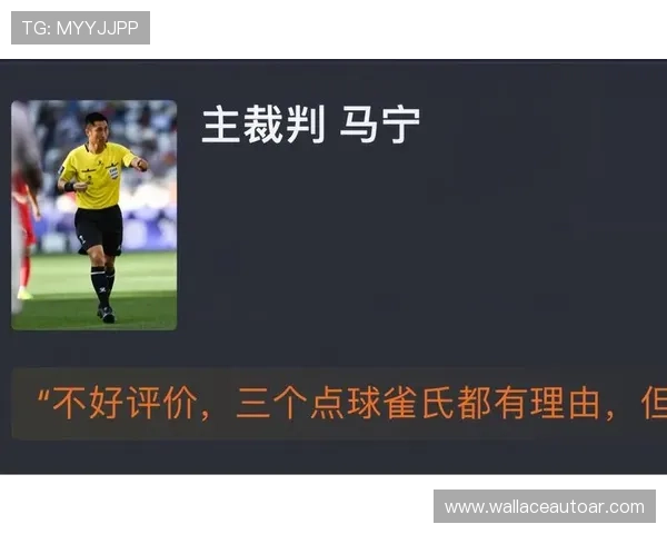 世界杯约旦对阿根廷点球环节的规则细节及裁判判罚标准全面介绍
