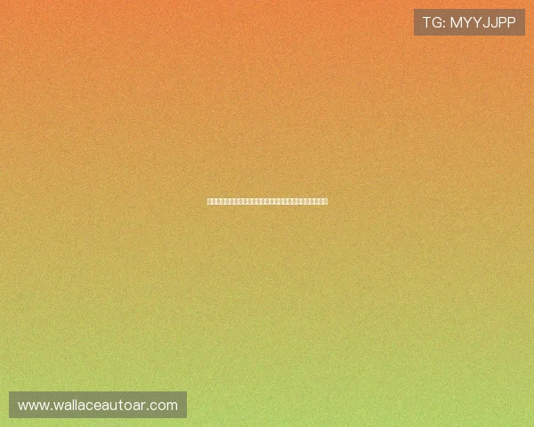 天博真人版深度解析世界杯热门球队战术布局与明星球员表现